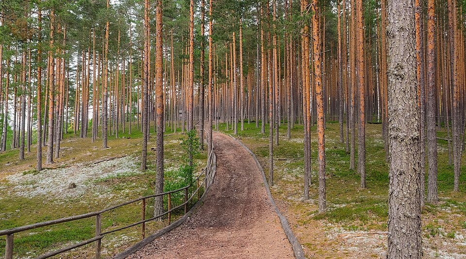 File:Meenikunno maastikukaiteala.jpg